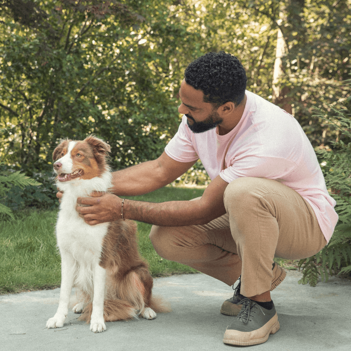 Huishoudhulp met hond